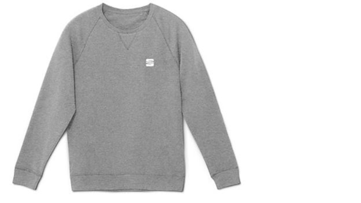 herren pulli bio hellgrau-1610614483868-default.png