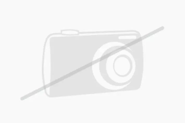 SEAT Trenngitter