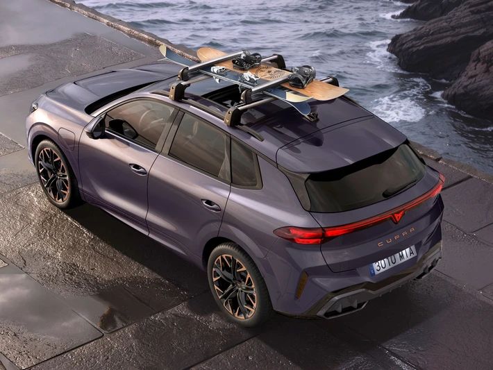 SEAT Ski- und Snowboardhalter